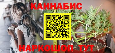 гидропоника Можга