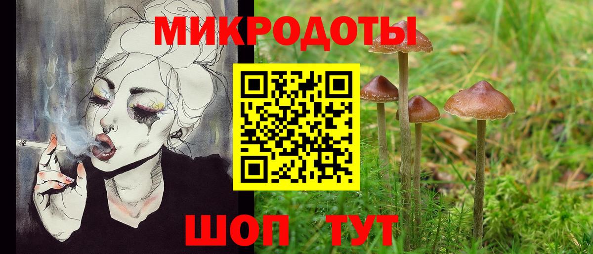Псилоцибиновые грибы Magic Shrooms  дарнет шоп  Вичуга  Вход с VPN  Псилоцибиновые грибы MAGIC MUSHROOMS 