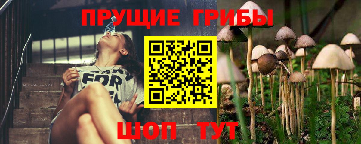 Галлюциногенные грибы MAGIC MUSHROOMS Вичуга
